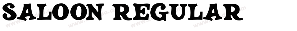 Saloon Regular字体转换